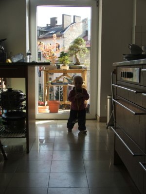 dscf2876.jpg