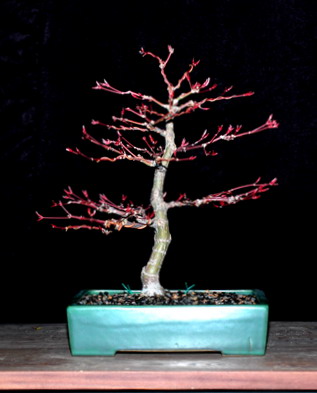 Mai 2004