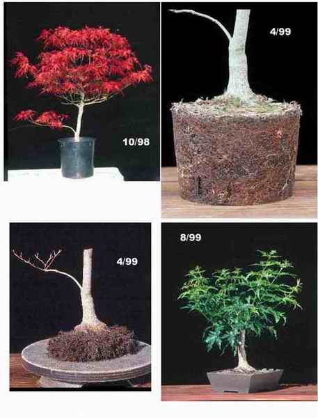 Acer64Composite005-016-047-042.jpg