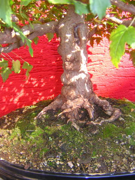 DSCN1882.JPG