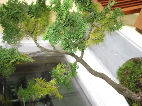 IMG_1792.jpg