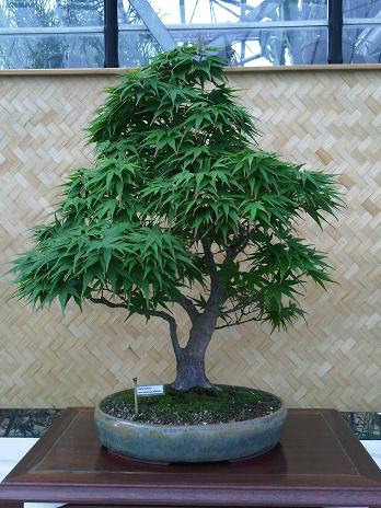 IMG00052-20091003-1255.jpg