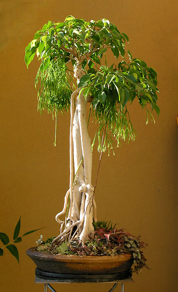 IMG_9860.jpg