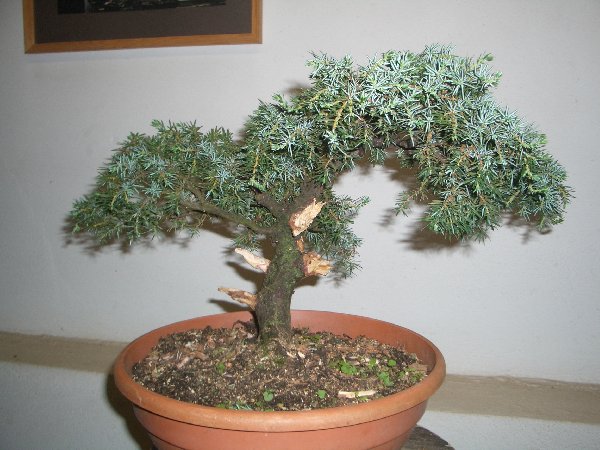 CIMG3183_600x450.JPG