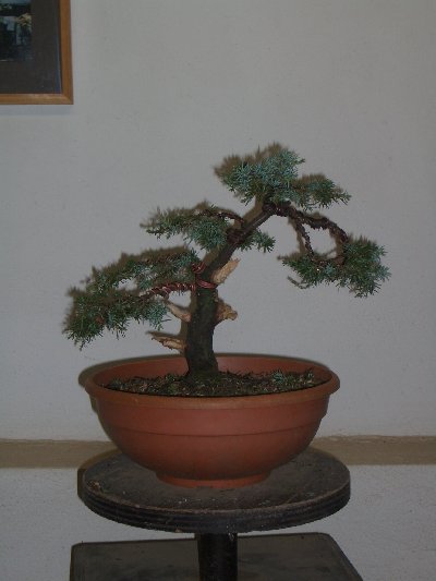 CIMG3189_400x533.JPG