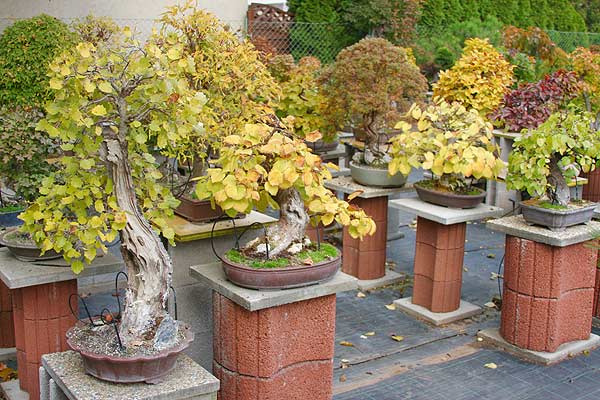 herbst_09_2.jpg