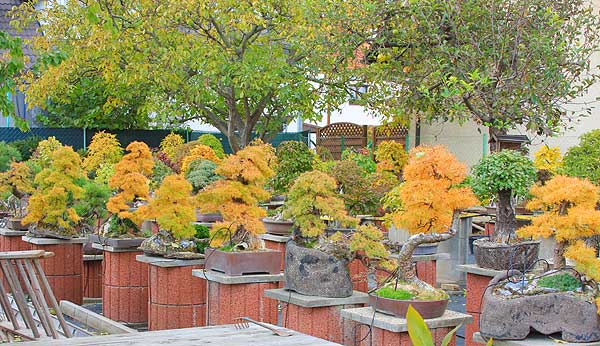 herbst_09_4.jpg