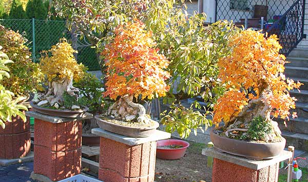herbst_09_5.jpg