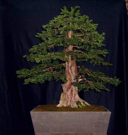 01.November 2009 016.jpg