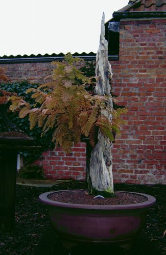 05.11.2009 011.jpg