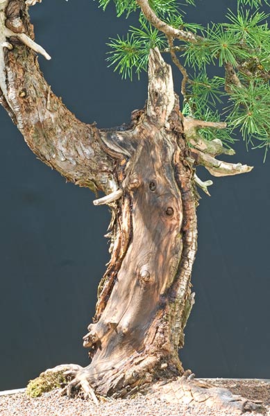 2009-08-NSC_8181v.jpg