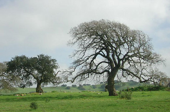 Dscn9938v.jpg