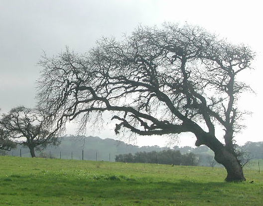 Dscn9939v.jpg