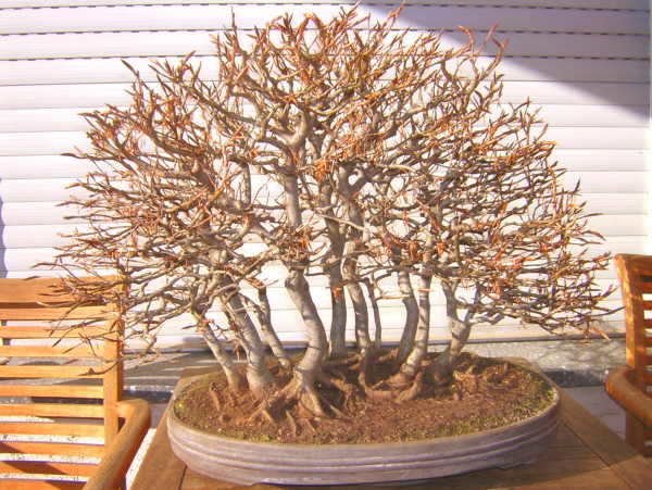 DSCN1897.JPG