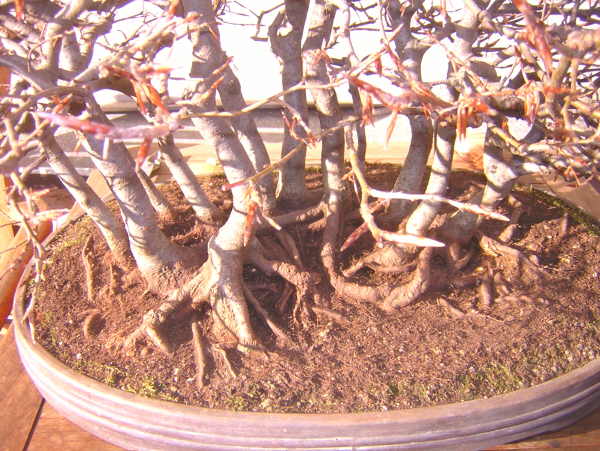 DSCN1898.JPG