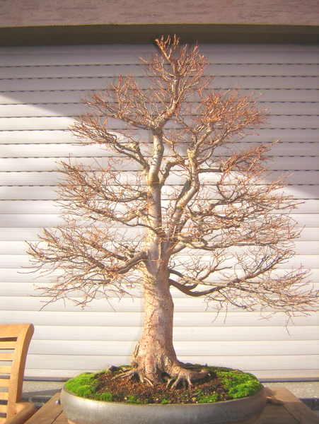 DSCN1899.JPG