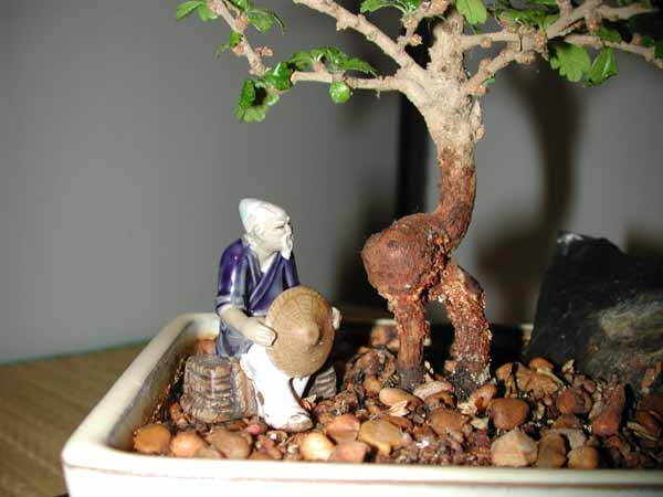 Mudman with roots.jpg