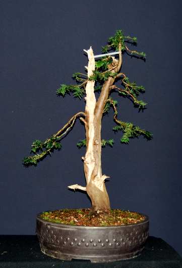 DSC_1299.JPG