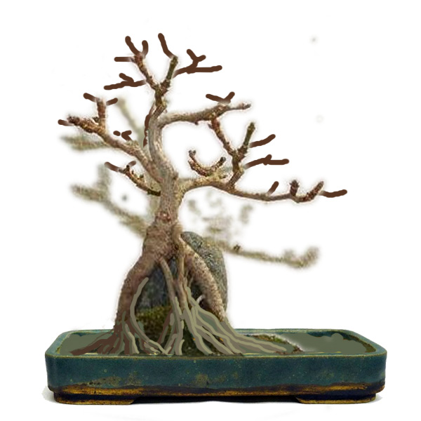 shohinvirt.jpg