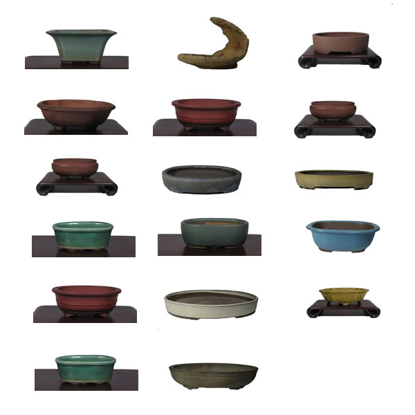 Schalenindex-2.jpg