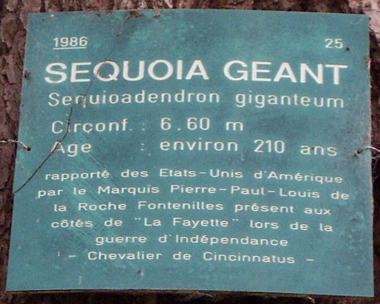 sequoia gigant sign.JPG