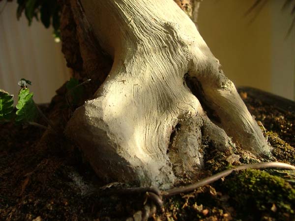 DSCF6698k.jpg