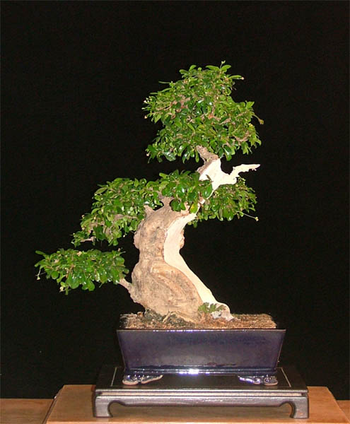 DSCF6702k.jpg