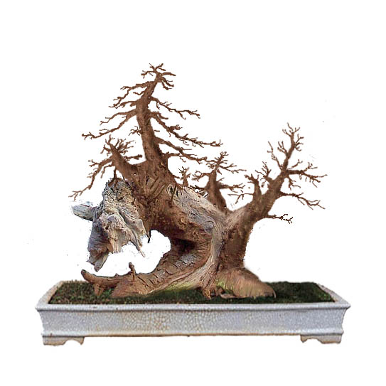 Penjing.jpg