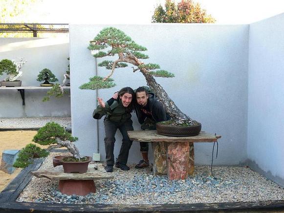 kasitoko&i&pine.jpg