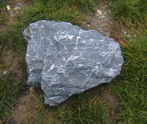 IMGA0308.JPG
