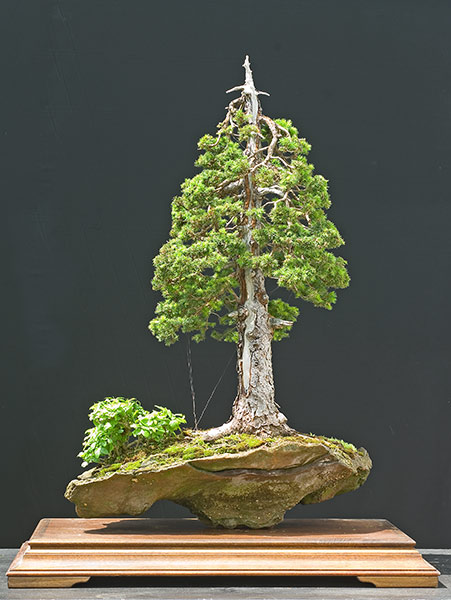 2009-05-NSC_7517ofv.jpg