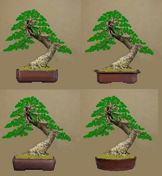 Larix_S_06.jpg