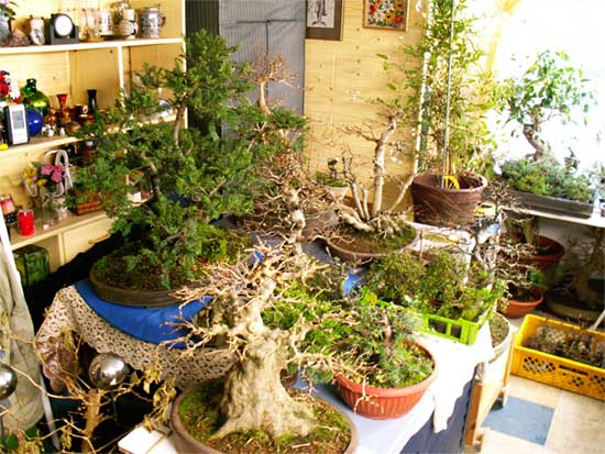 winter2010_1.jpg