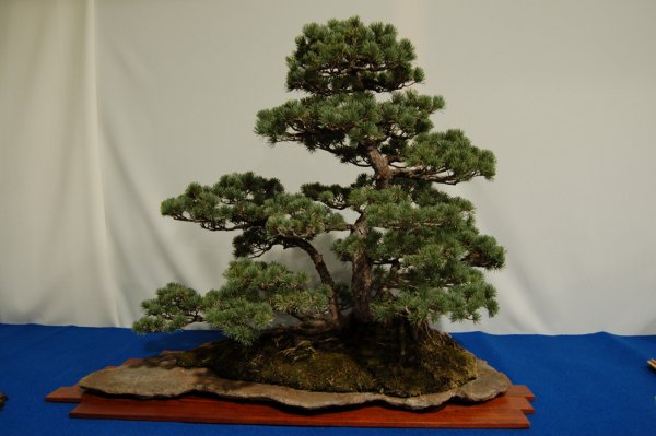 kDSC_3170.JPG