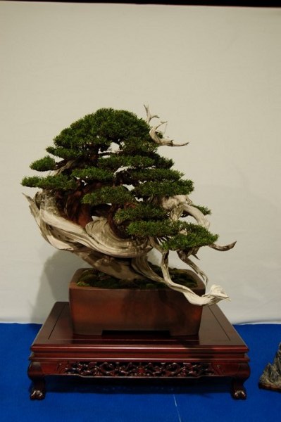 kDSC_3176.JPG