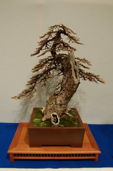 kDSC_3188.JPG
