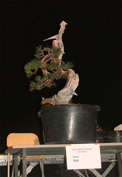 DSCF7065k.jpg
