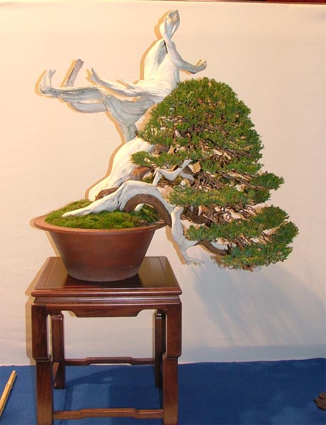 DSCF6856k.jpg