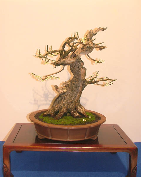 DSCF6870k.jpg