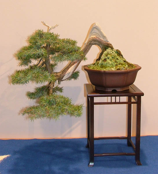 DSCF6885k.jpg