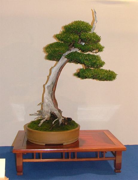 DSCF6886k.jpg