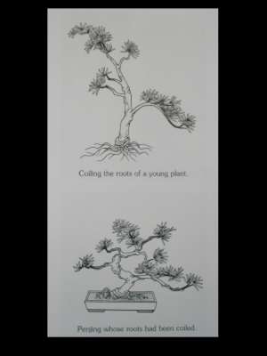 Twisting and Exposing the Roots
