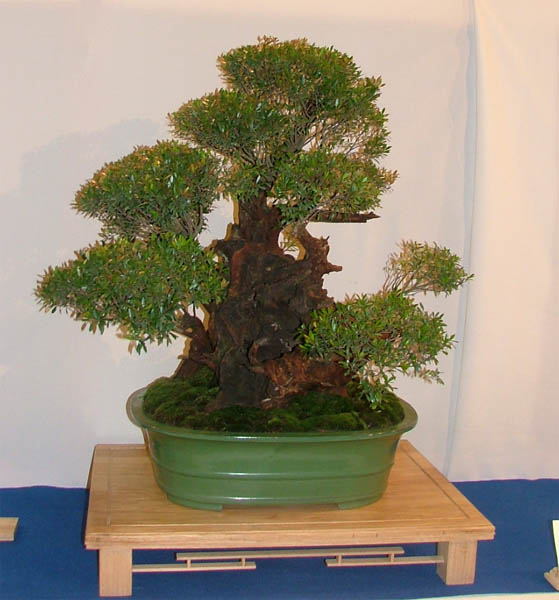 DSCF6928k.jpg