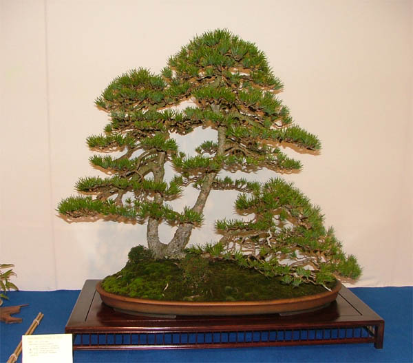 DSCF6944k.jpg