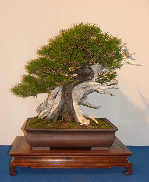 DSCF6976k.jpg