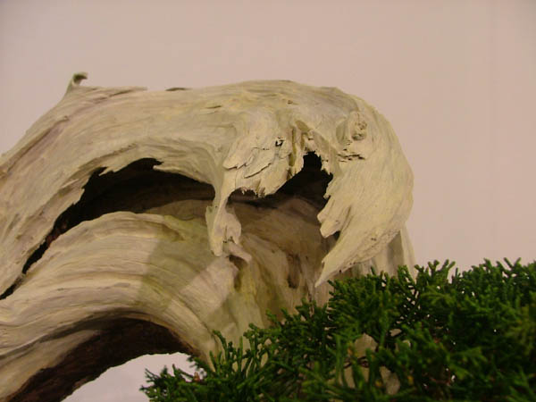 DSCF6993k.jpg