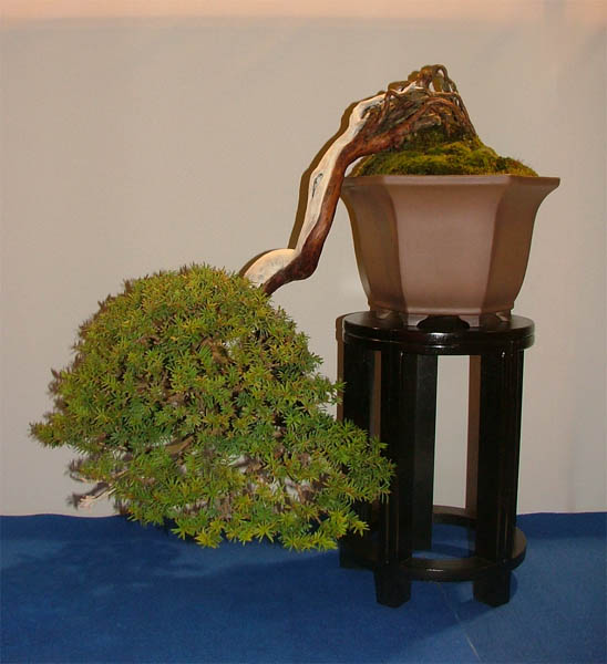 DSCF7002k.jpg