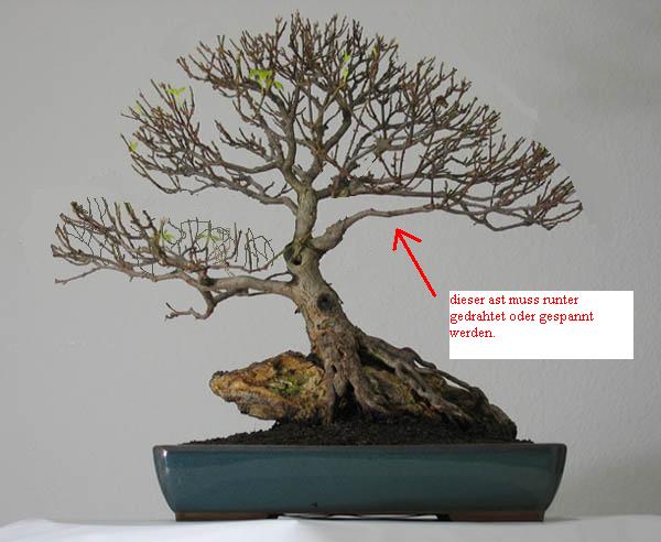 acer_getopft.jpg