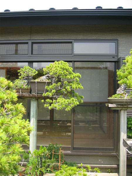 Maître_Keizo_ANDO_011.jpg