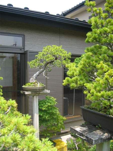 Maître_Keizo_ANDO_012.jpg